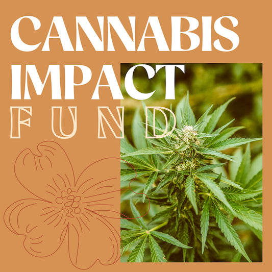 Meet the Cannabis Impact Fund