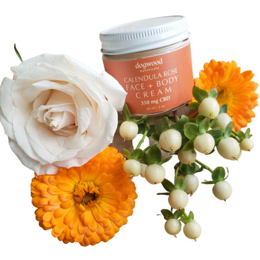 Dogwood Botanicals Calendula Rose CBD Cream. Photo by Rob Williamson, styling by Bryson Gill